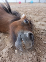 /album/fotogalerie/sternchen-img-20250921-wa0003-jpg1/